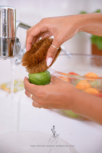 JAPANESE TAWASHI BRUSH - Cleaning Fruits & Vegetables & Other Household Cleaning